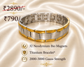 Q-RAY Bio Magnetic Titanium Bracelet