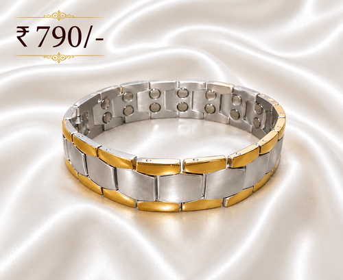 Bio Magnetic Titanium Bracelet